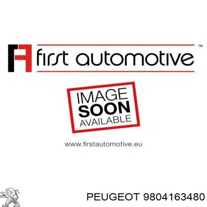 9804163480 Peugeot/Citroen Внутрішньосалонний фільтр