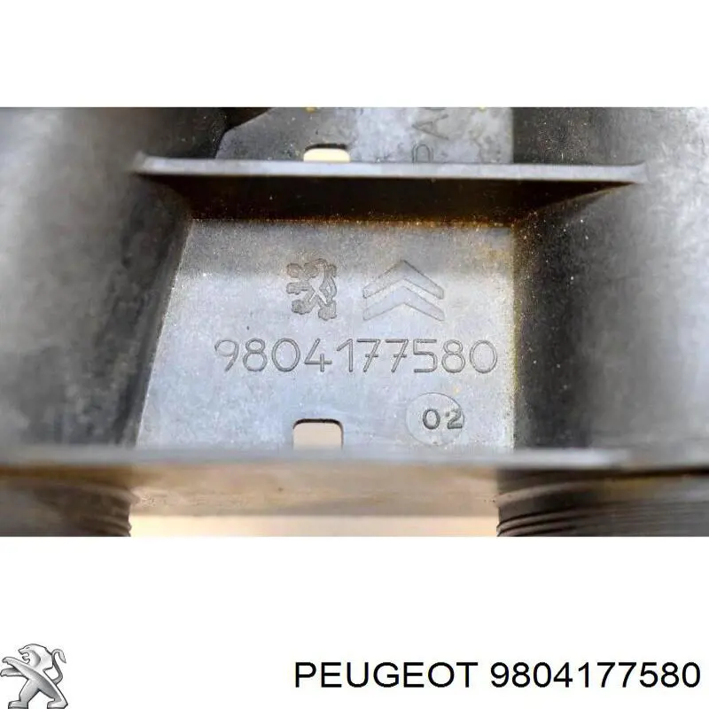9804177580 Peugeot/Citroen Трубка, що нагнітається