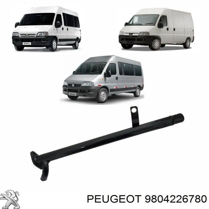 9804226780 Peugeot/Citroen 
