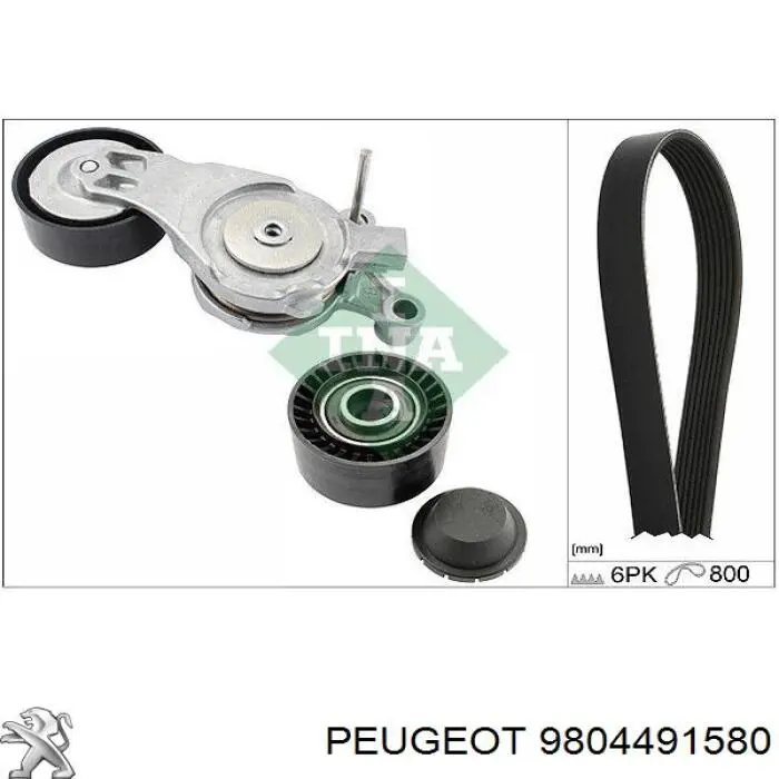 9804491580 Peugeot/Citroen ремінь приводний, агрегатів