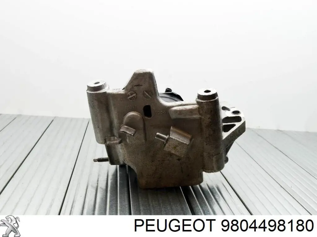Купити 9804498180 Peugeot/Citroen 