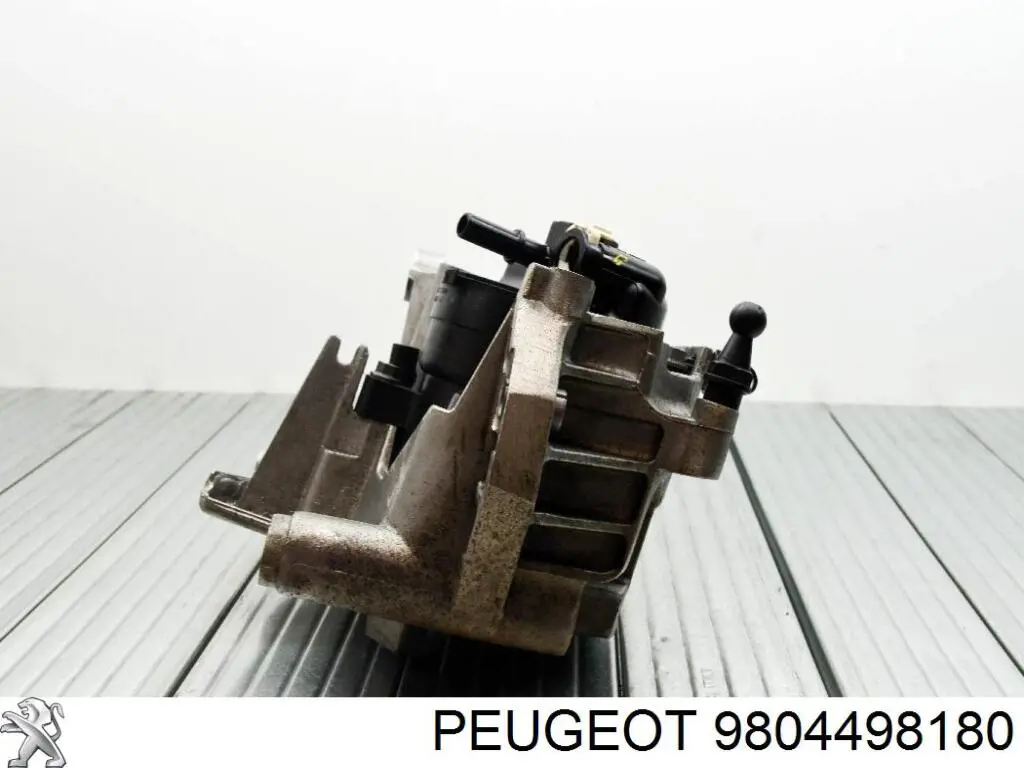 9804498180 Peugeot/Citroen 