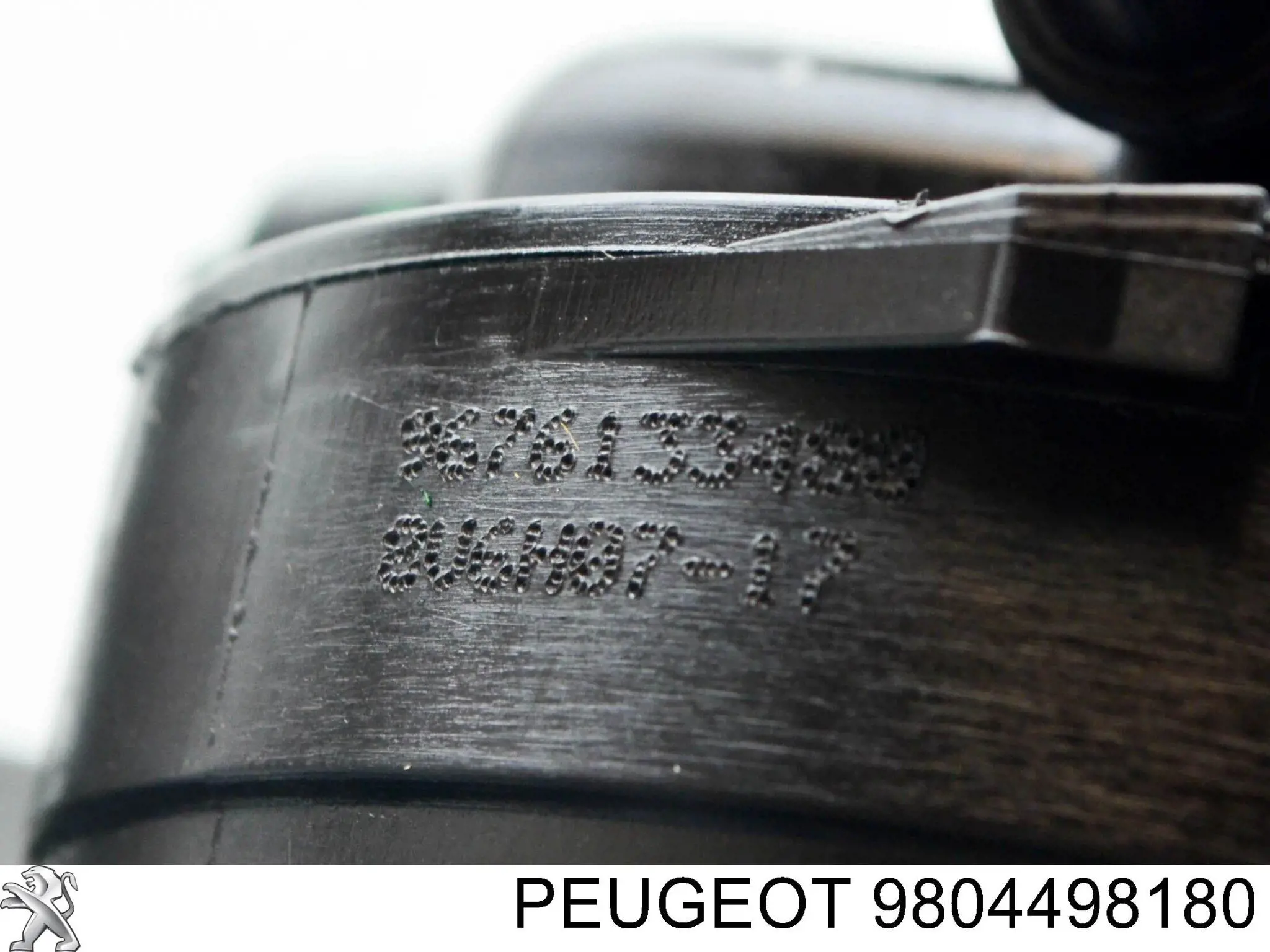  9804498180 Peugeot/Citroen