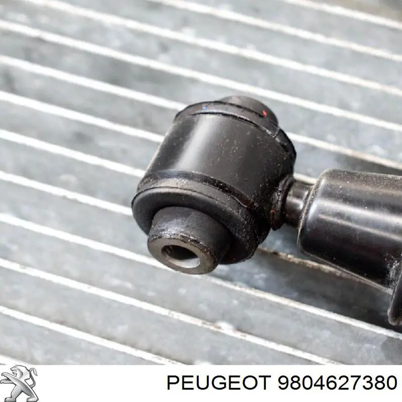 9804627380 Peugeot/Citroen 