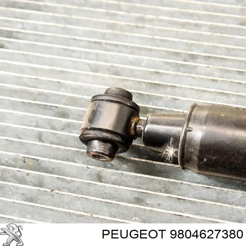  Peugeot/Citroen 9804627380 ціна, від 87.98 USD