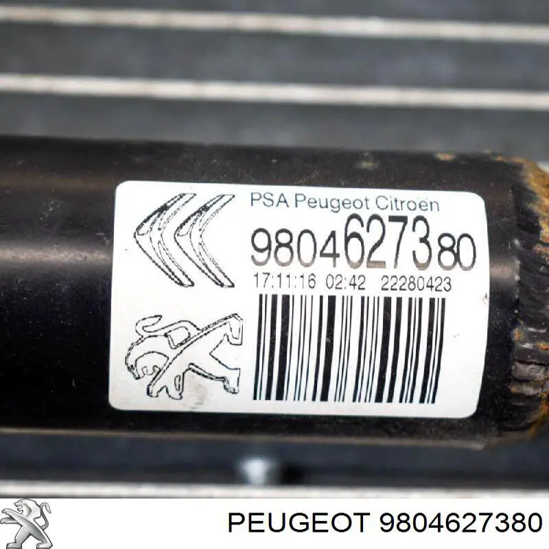 Купити 9804627380 Peugeot/Citroen 