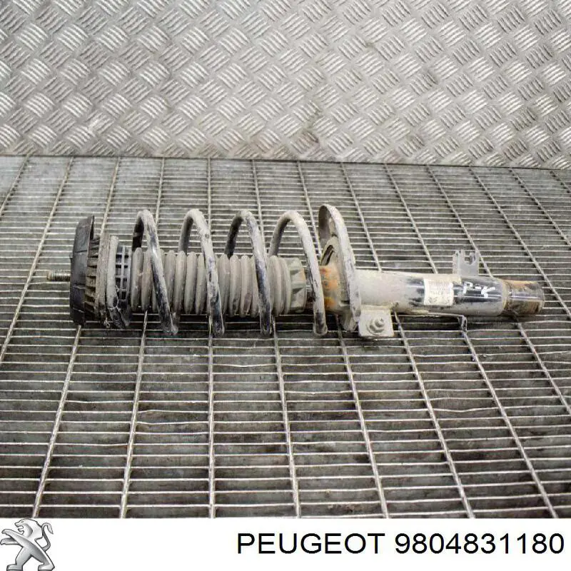 Купити 9804831180 Peugeot/Citroen Амортизатора передній лівий