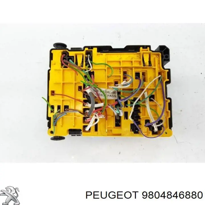 9804846880 Peugeot/Citroen 