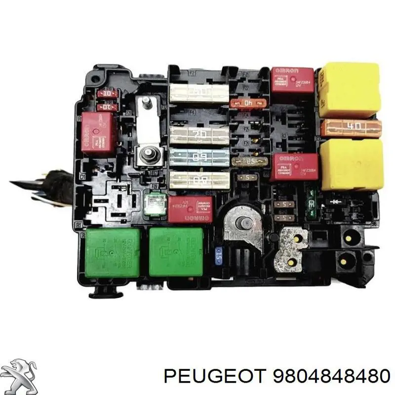 9804848480 Peugeot/Citroen 