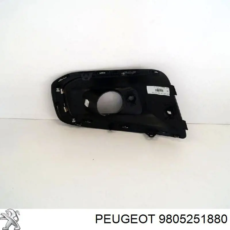 9805212080 Peugeot/Citroen Ободок фари протитуманной