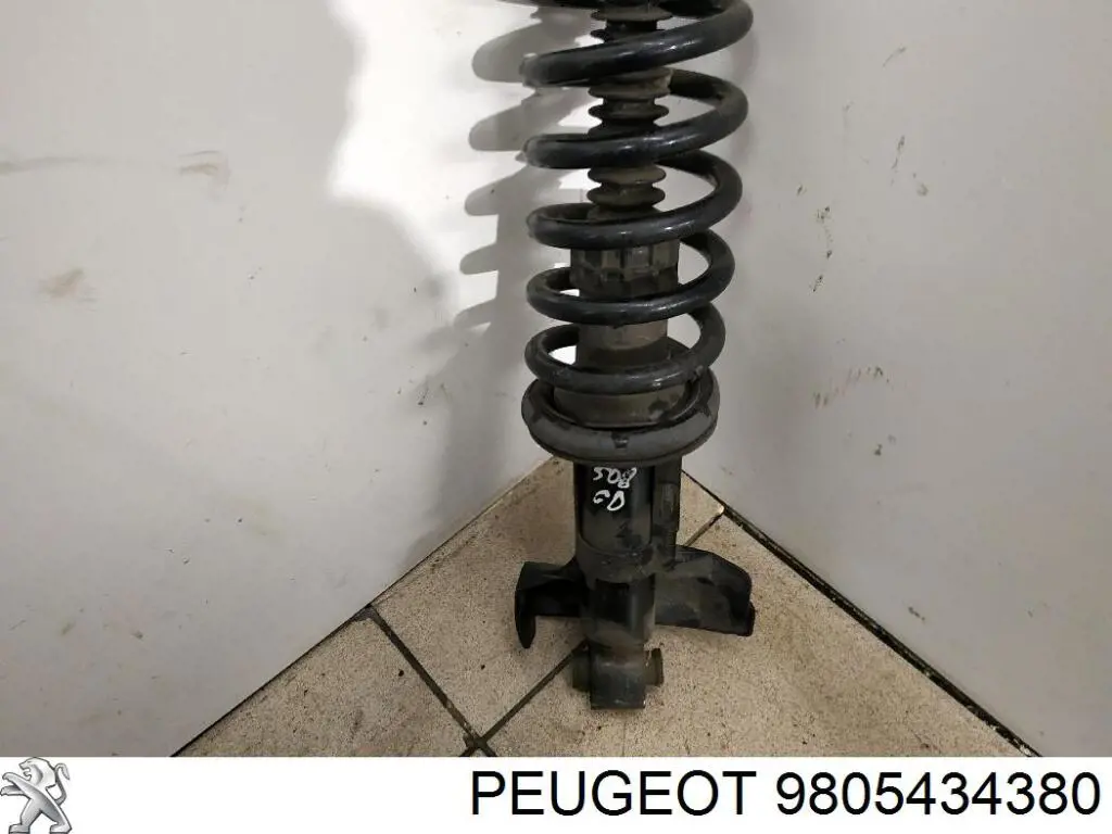 9805434380 Peugeot/Citroen Амортизатори задні