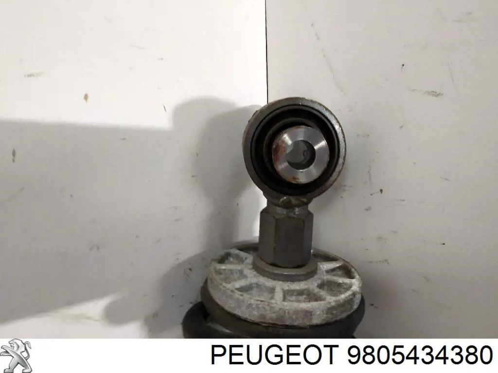 9805434380 Peugeot/Citroen амортизатор задній