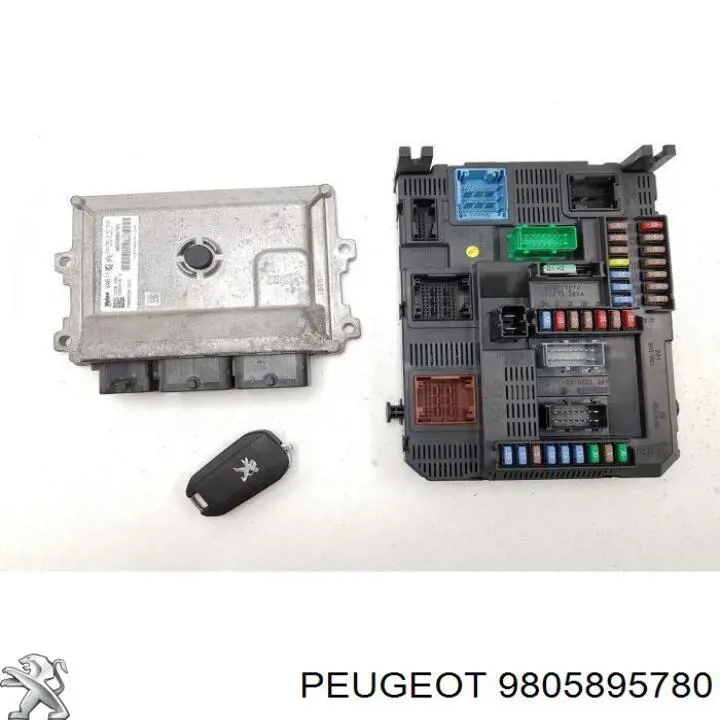  9805895780 Peugeot/Citroen