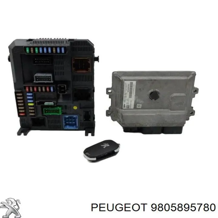 9805895780 Peugeot/Citroen 