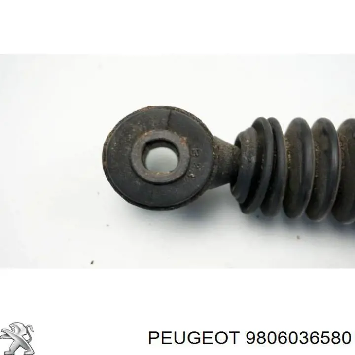 Купити 9806036580 Peugeot/Citroen Стійка амортизатора задня