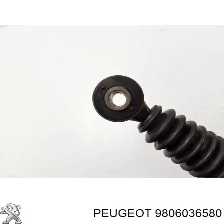 Амортизатор задній 9806036580 Peugeot/Citroen