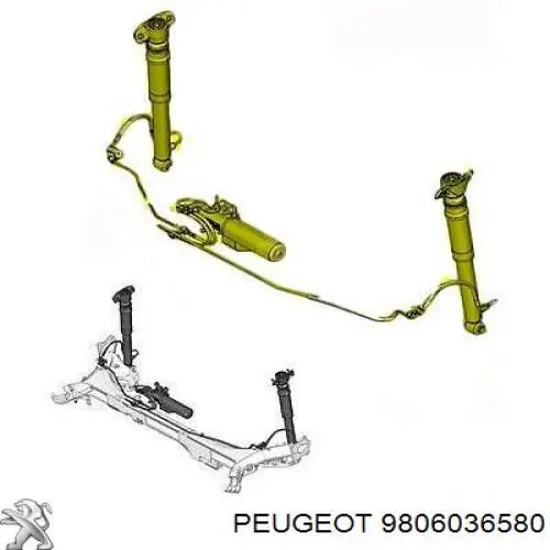 9806036580 Peugeot/Citroen Амортизатори задні