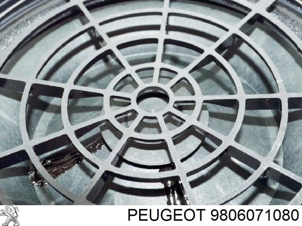 Купити 9806071080 Peugeot/Citroen Динамік передньої двері