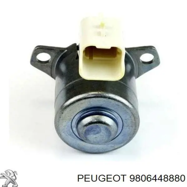 Купити 9806448880 Peugeot/Citroen Редукційний клапан ПНВТ