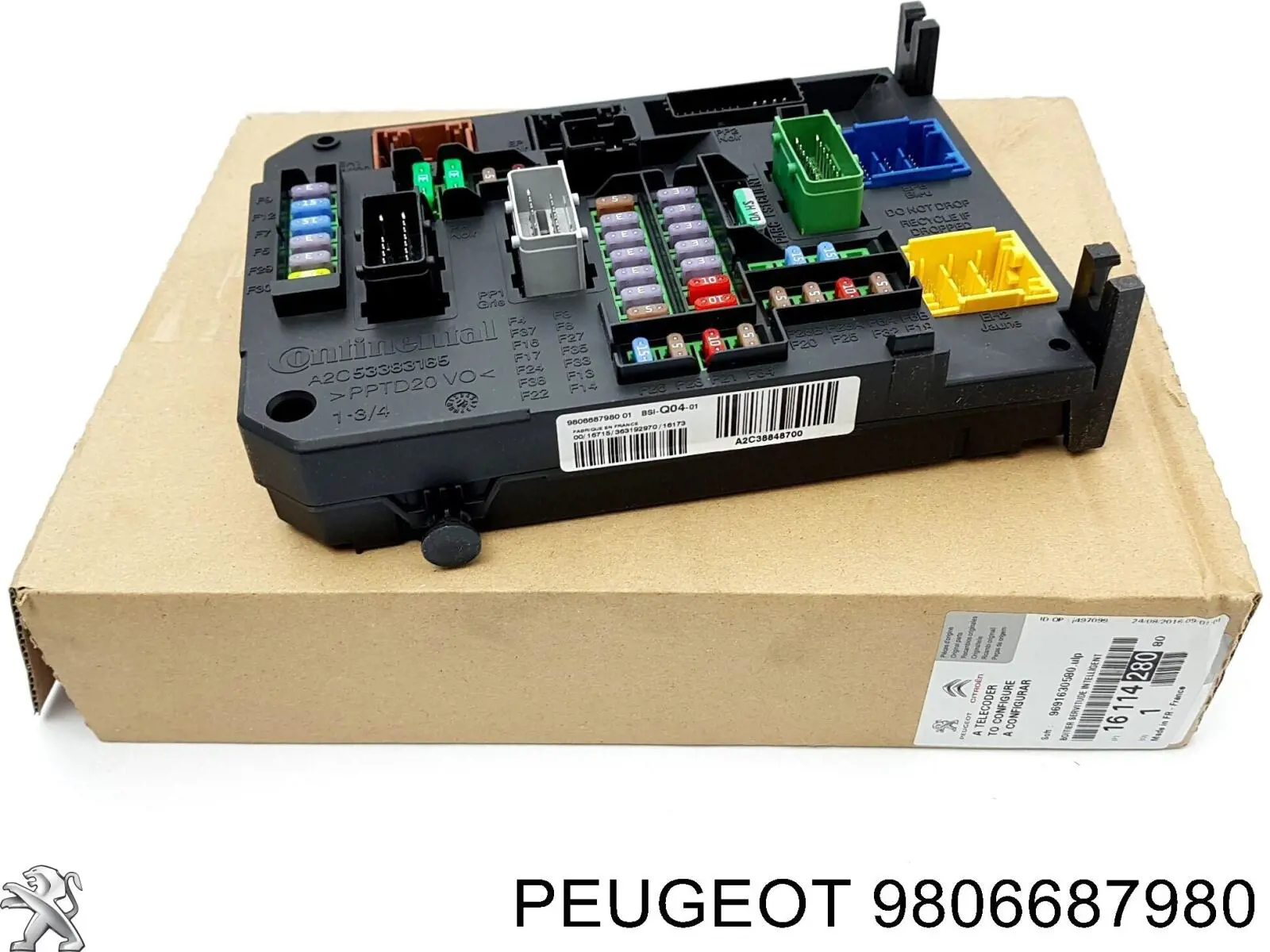 9806687980 Peugeot/Citroen 