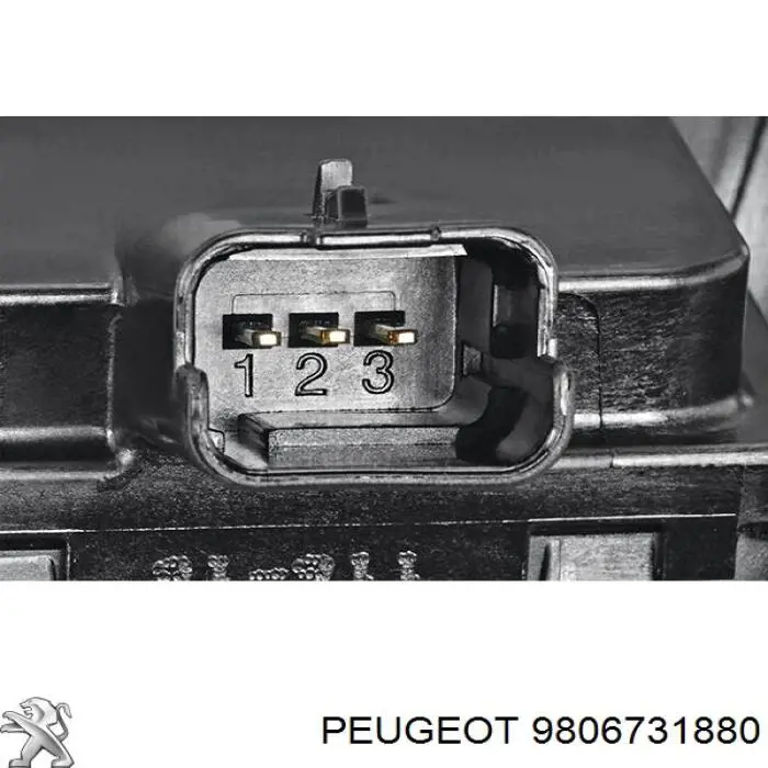 Купити 9806731880 Peugeot/Citroen Дросільна заслінка