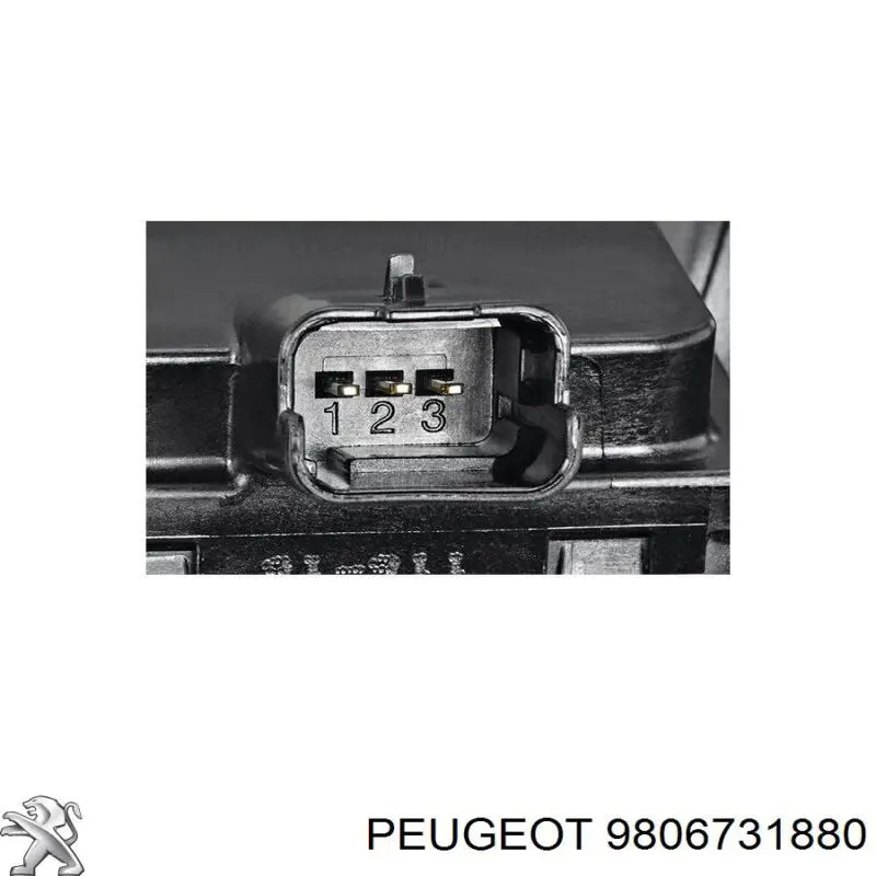 Дросільна заслінка 9806731880 Peugeot/Citroen