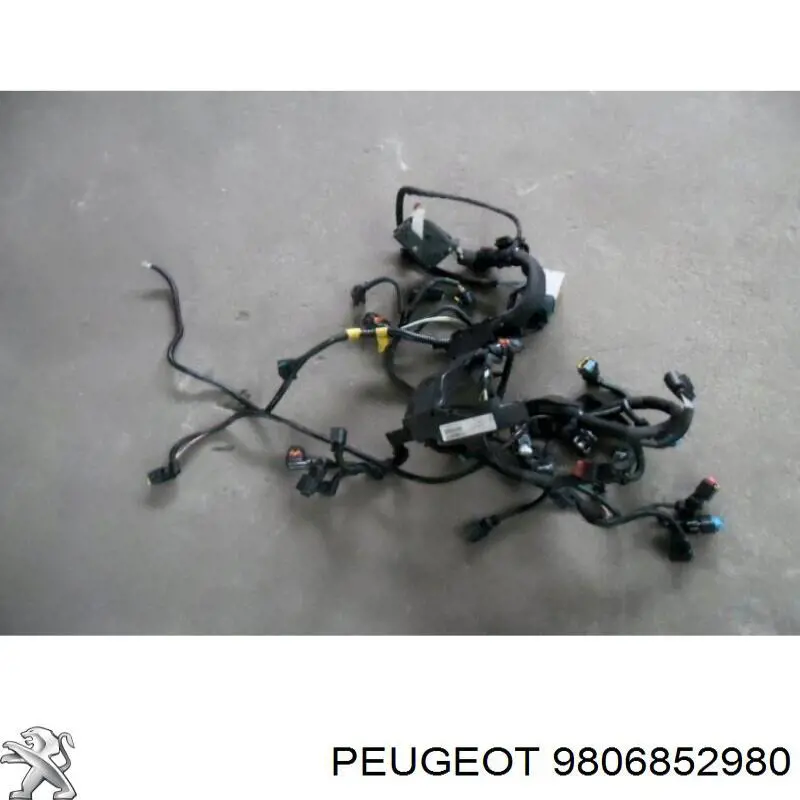 9806852980 Peugeot/Citroen 