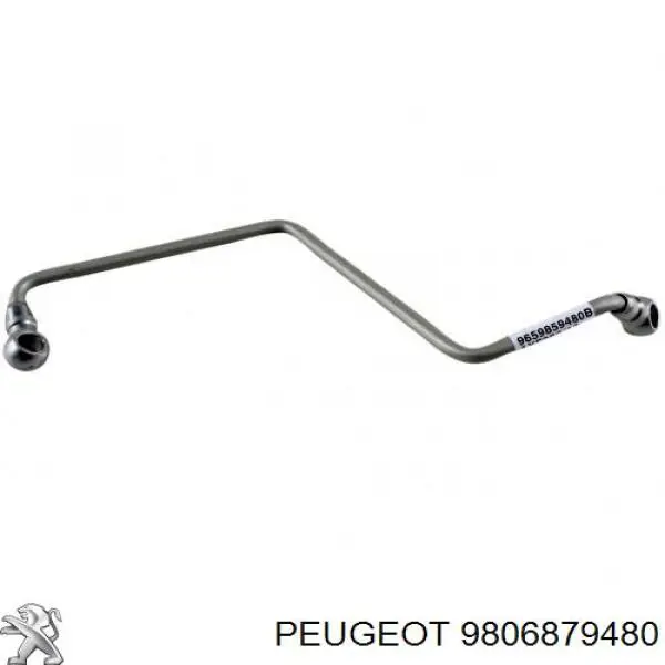 Купити 9806879480 Peugeot/Citroen Трубка/шланг подачі масла до турбіни