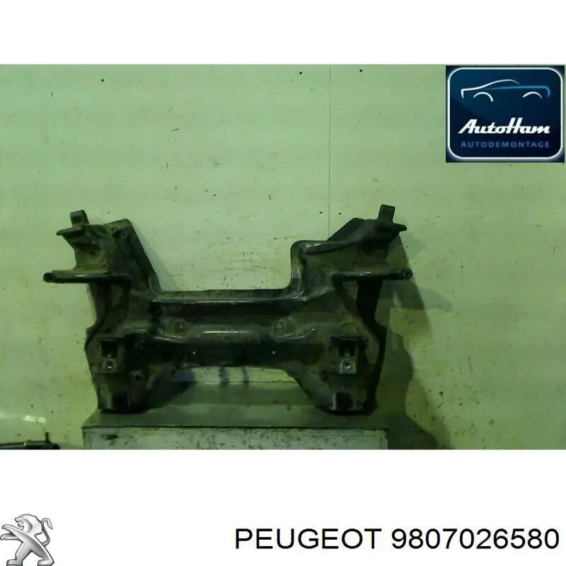  9807026580 Peugeot/Citroen