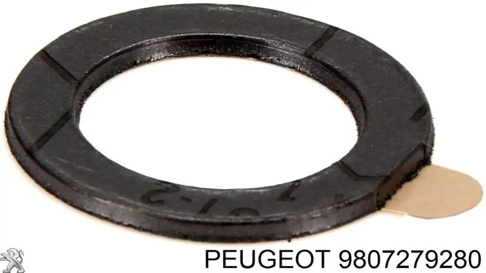  9807279280 Peugeot/Citroen