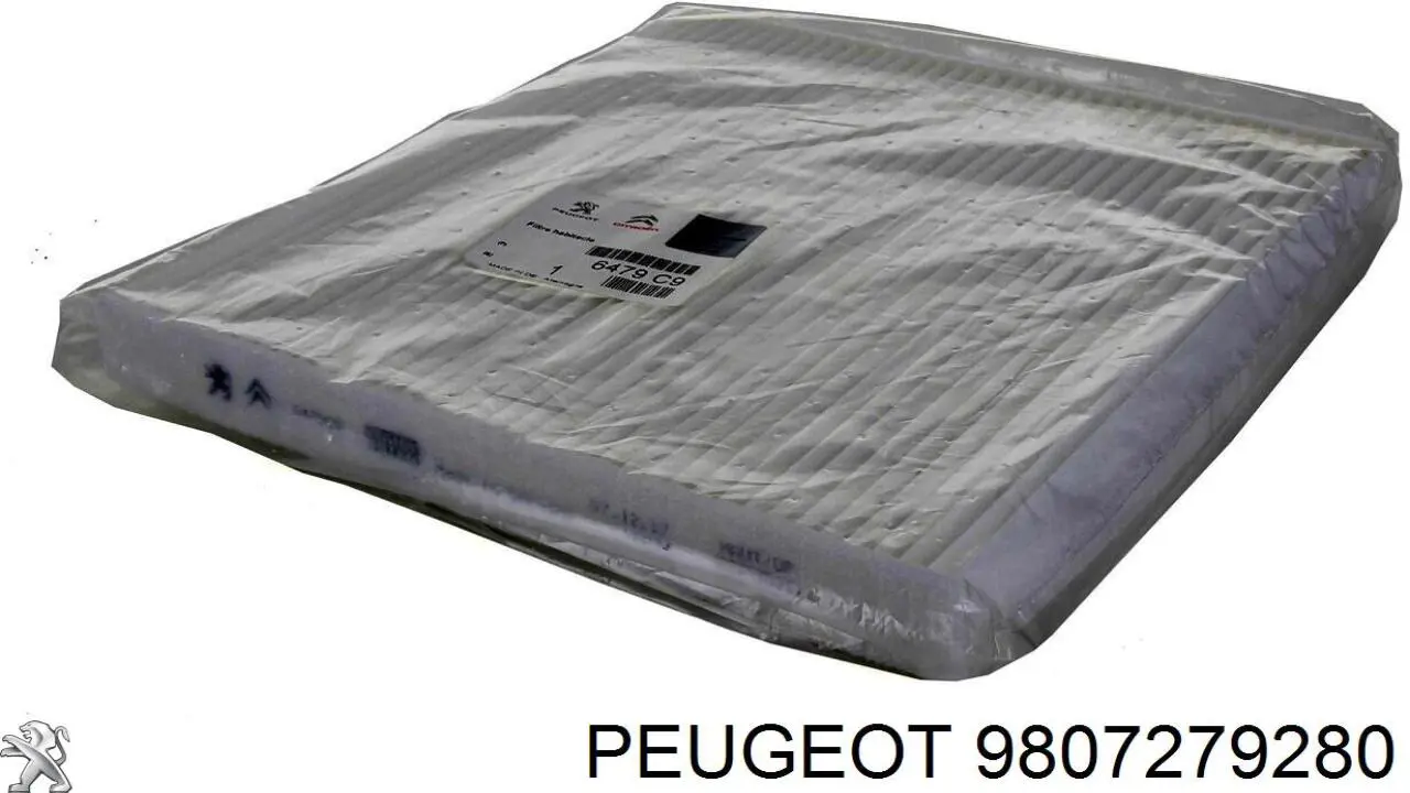 Прокладка фільтра сажі передня 9807279280 Peugeot/Citroen