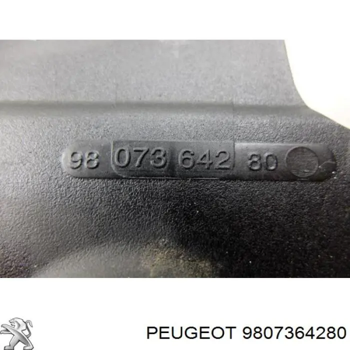 9807364280 Peugeot/Citroen 