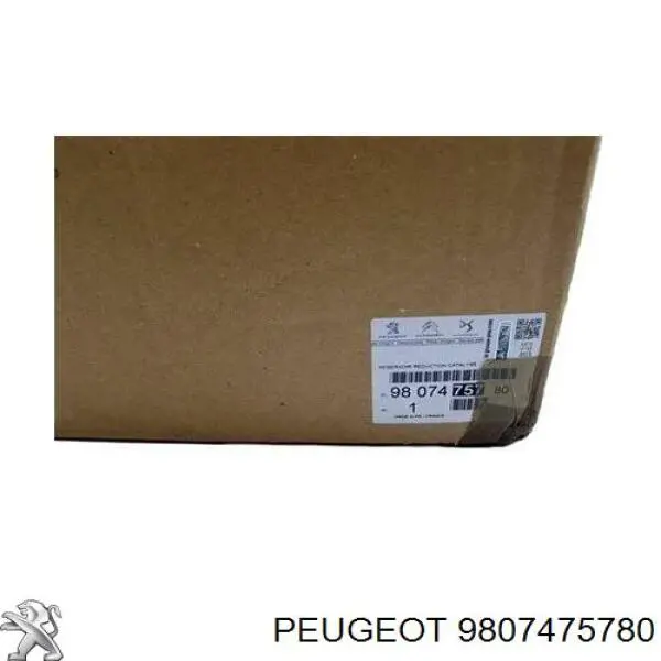  Peugeot/Citroen 1682619280