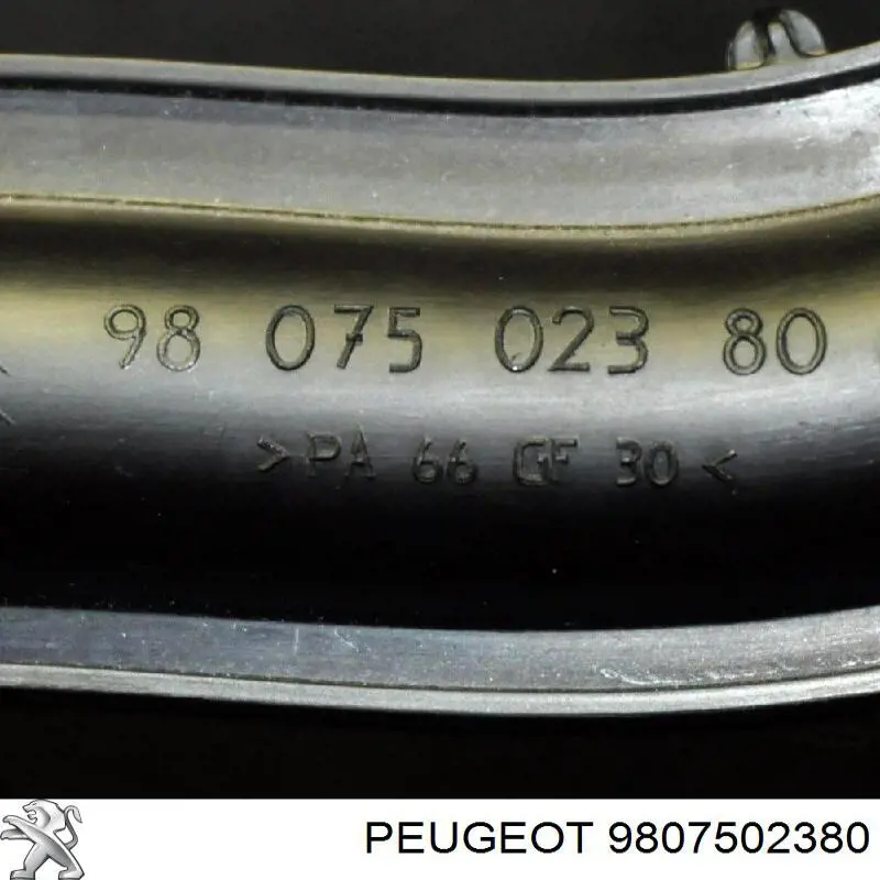 9807502380 Peugeot/Citroen Шланг термостата