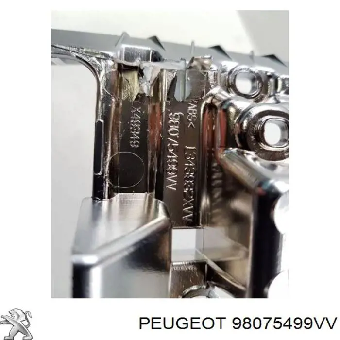 Купити 98075499VV Peugeot/Citroen 