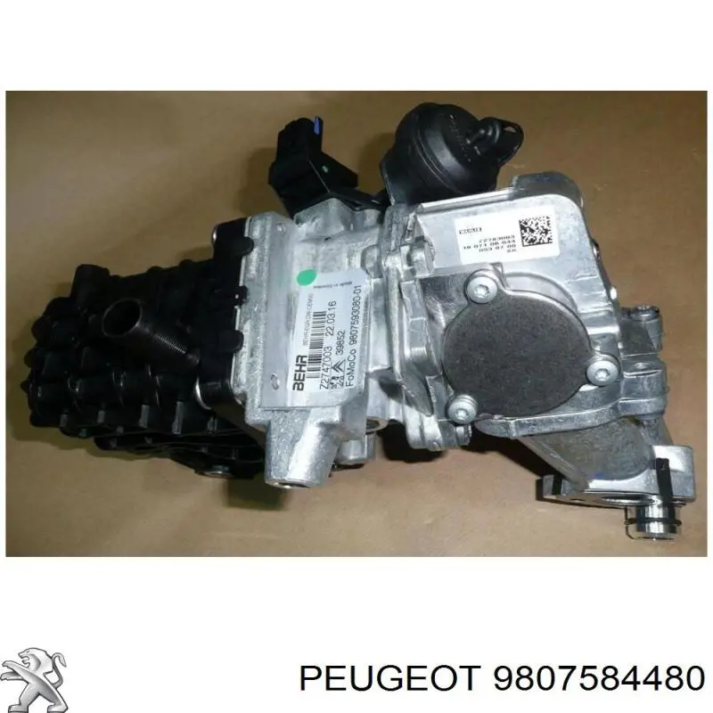 9807584480 Peugeot/Citroen 
