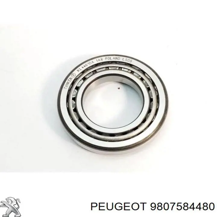  9807584480 Peugeot/Citroen