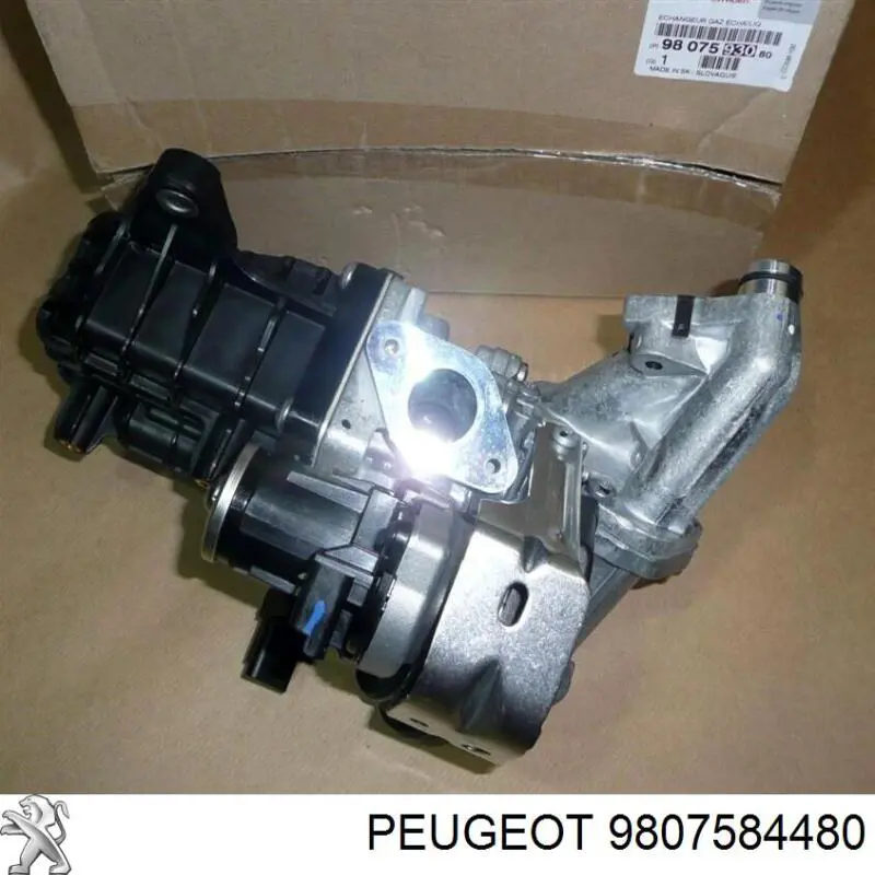 Купити 9807584480 Peugeot/Citroen 