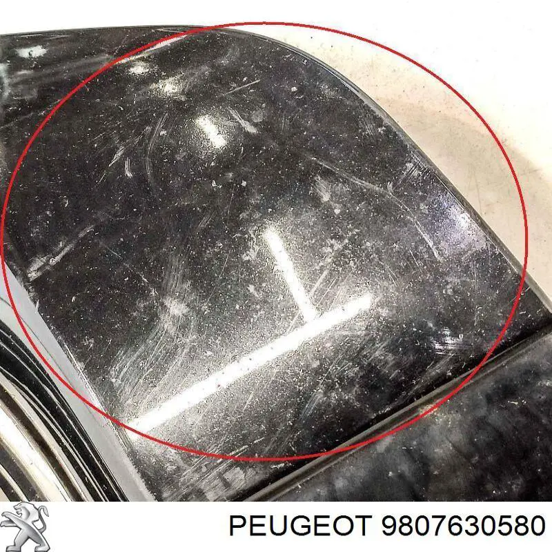 9807630580 Peugeot/Citroen 