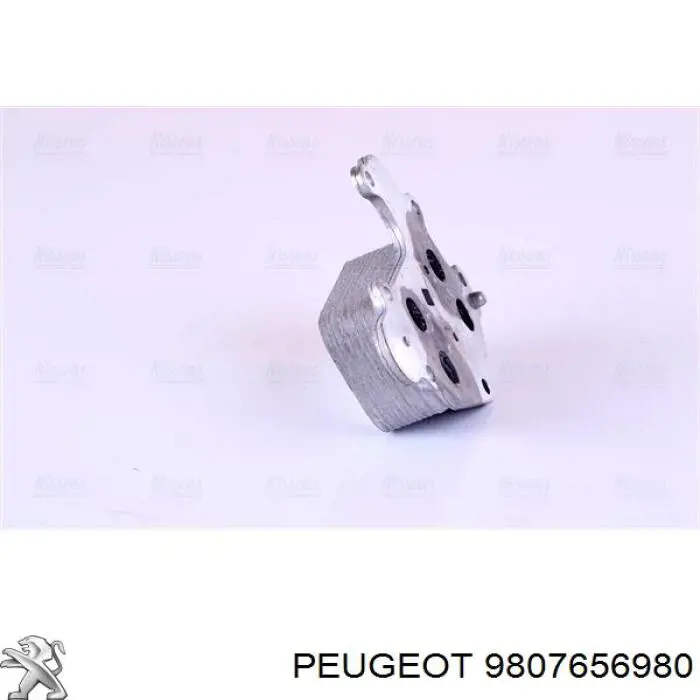 Купити 9807656980 Peugeot/Citroen 
