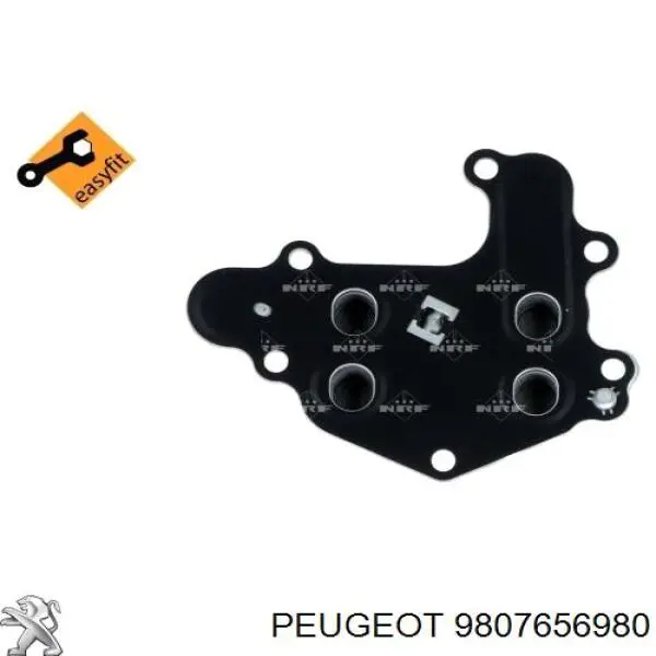 9807656980 Peugeot/Citroen 
