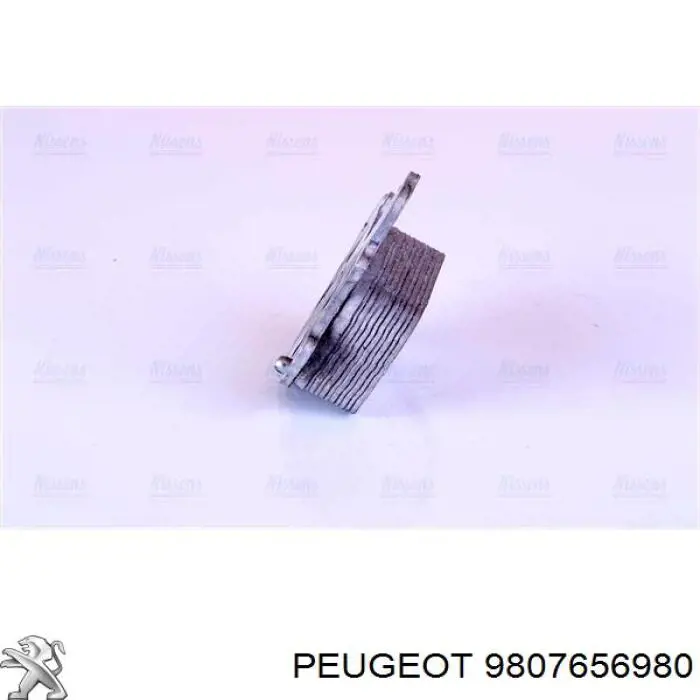  Peugeot/Citroen 9807656980 ціна, від 17.52 USD