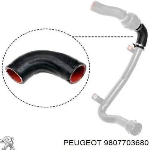 9807703680 Peugeot/Citroen Трубка/шланг подачі масла до турбіни