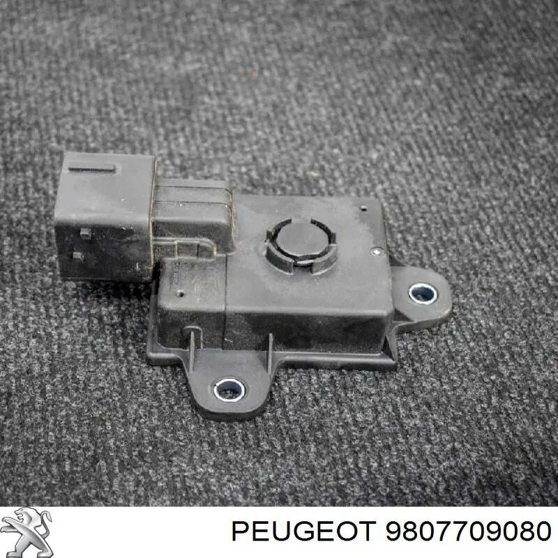 Купити 9807709080 Peugeot/Citroen Поріг зовнішній лівий