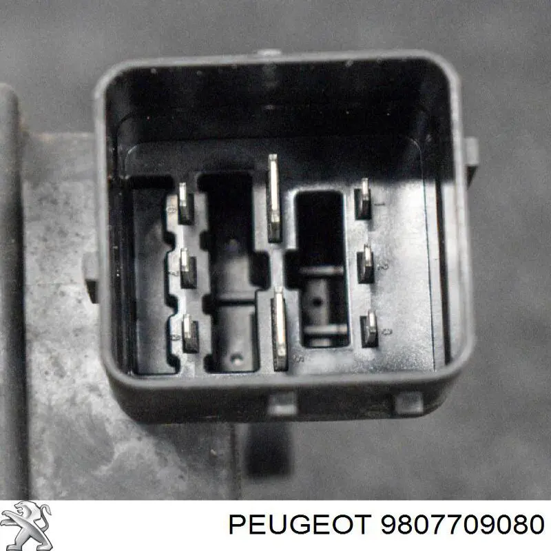 Поріг зовнішній лівий Peugeot/Citroen 9807709080 ціна, від 88.04 USD