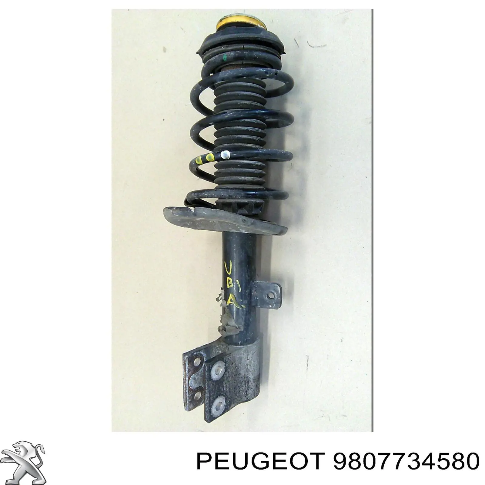 9807734580 Peugeot/Citroen