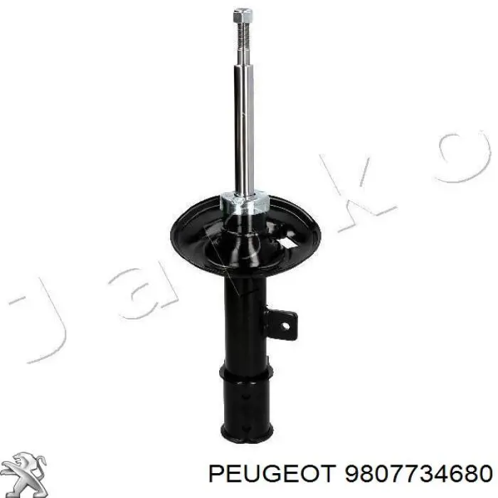 9807734680 Peugeot/Citroen 