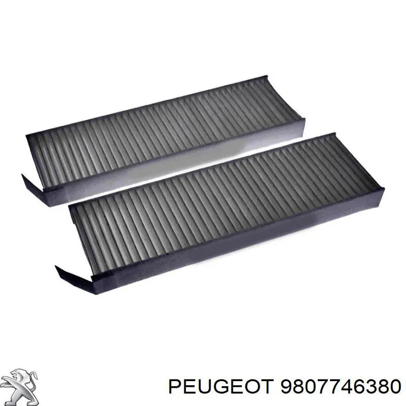 Купити 9807746380 Peugeot/Citroen Фільтр салону вугільний