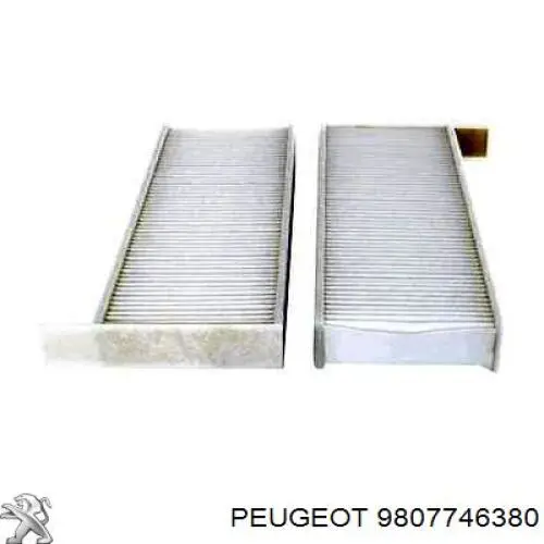 9807746380 Peugeot/Citroen Внутрішньосалонний фільтр