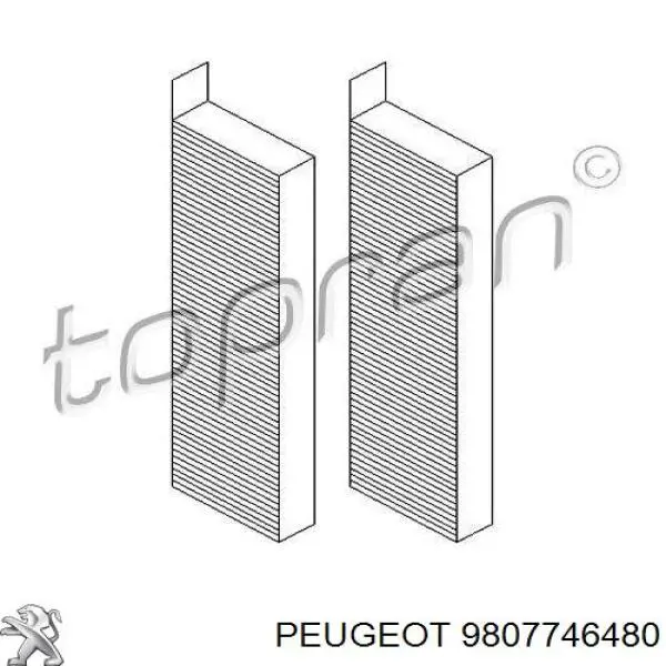 Повітряний фільтр салону Peugeot/Citroen 9807746480